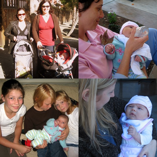 PHOTO SUMMARY - Ari Week 7