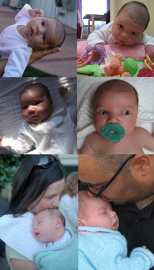 PHOTO SUMMARY - Ari Week 6