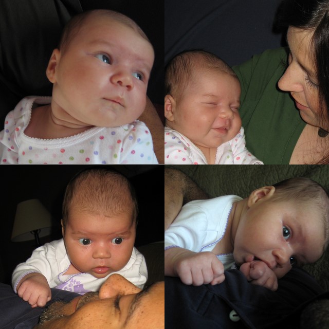 PHOTO SUMMARY - Ari Week Five