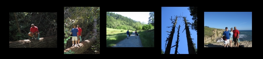 PHOTO SUMMARY: Pt. Reyes Hike 2