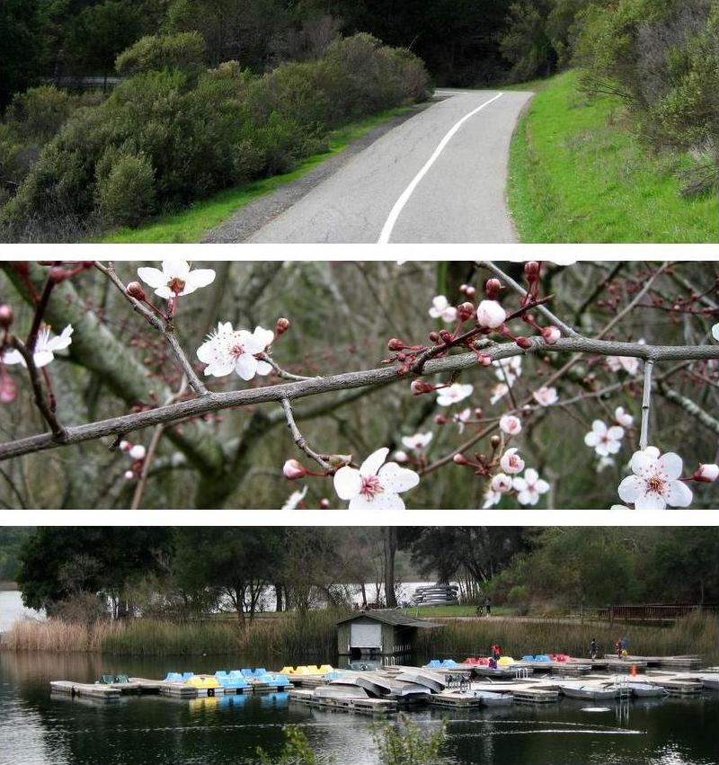 PHOTO SUMMARY: Reservoir walk